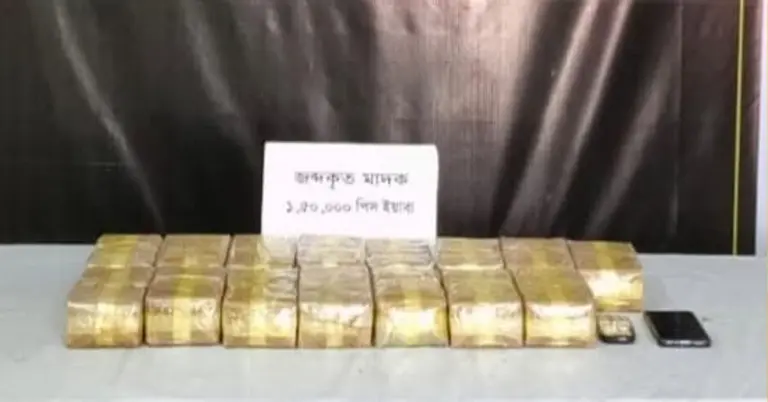 জব্দকৃত মাদক